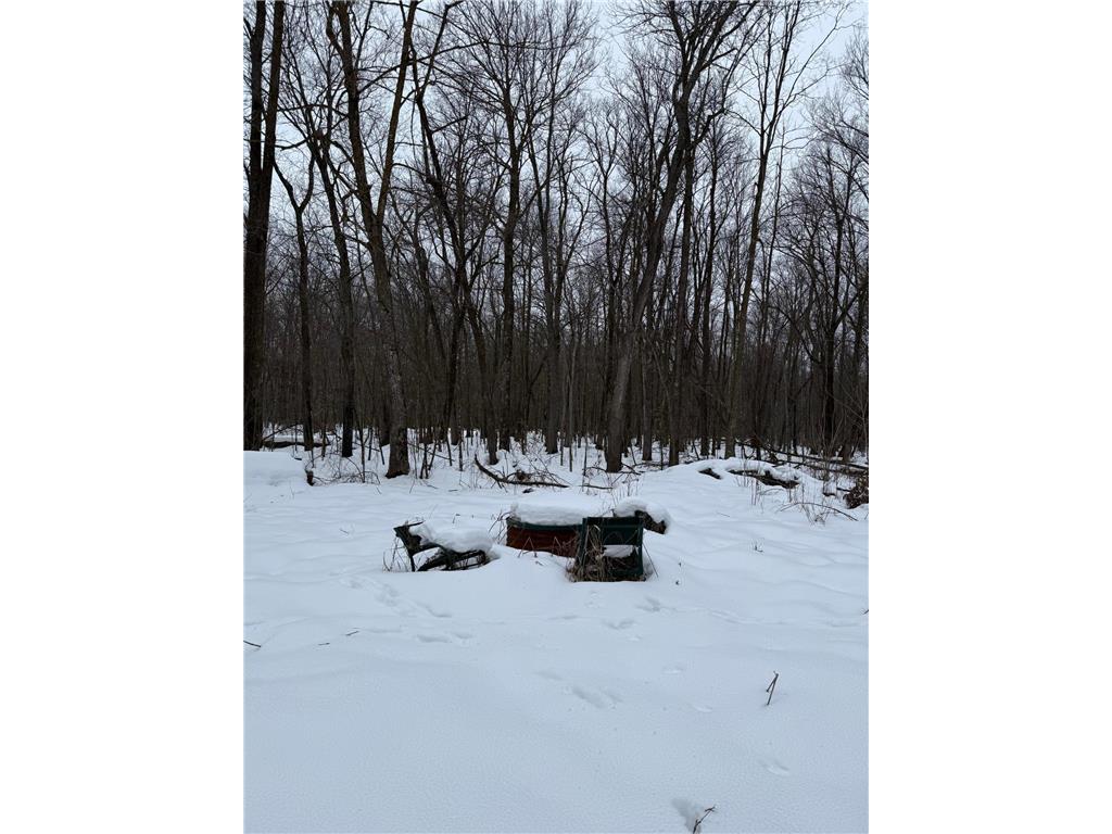 xxx Merlin Road Dailey Twp MN 56338 7049829 image4