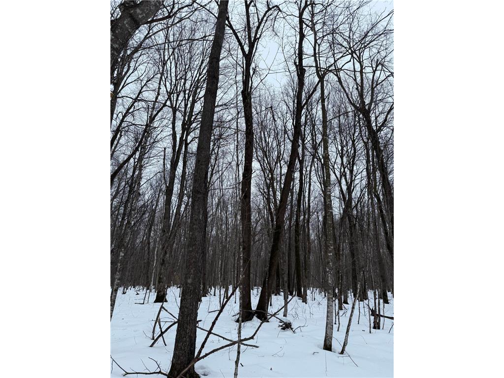 xxx Merlin Road Dailey Twp MN 56338 7049829 image5