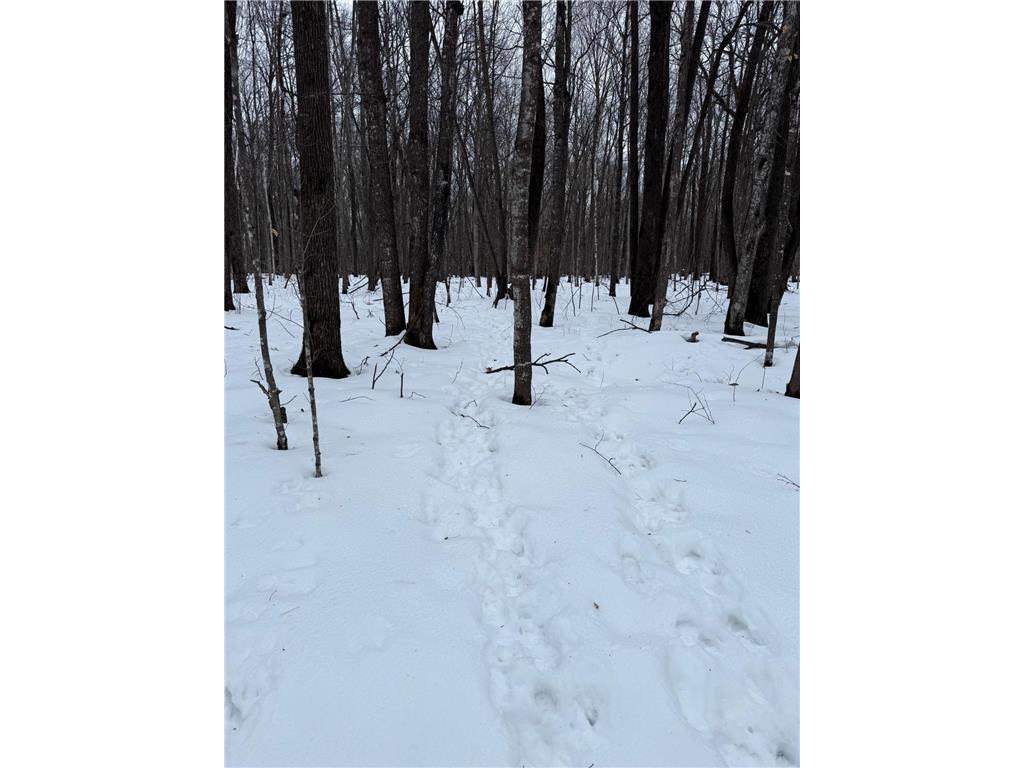 xxx Merlin Road Dailey Twp MN 56338 7049829 image6