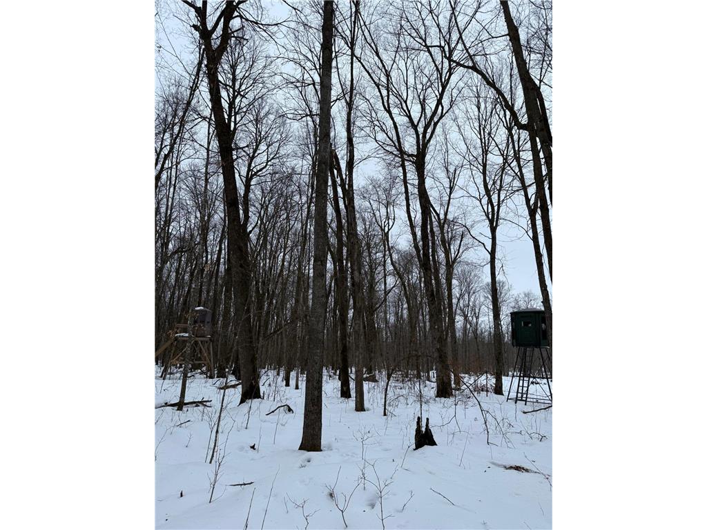xxx Merlin Road Dailey Twp MN 56338 7049829 image7