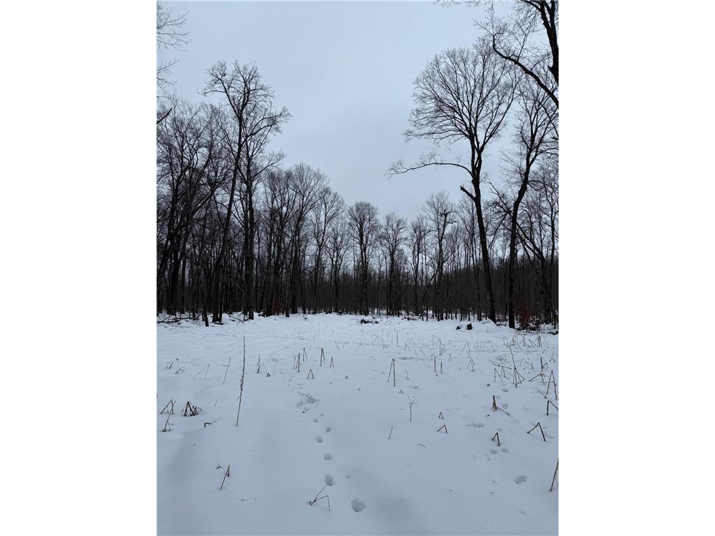 xxx Merlin Road Dailey Twp MN 56338 7049829 image8