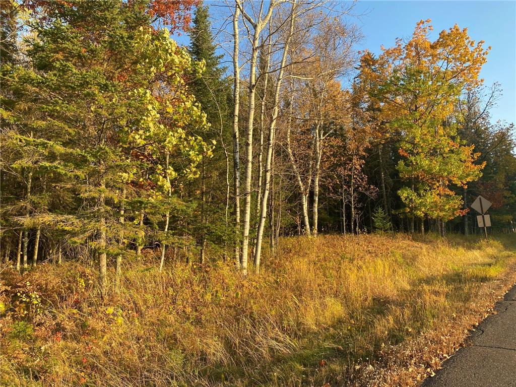 xxx N Holyoke Drive, Holyoke, MN, 55749 MLS 6274183 Edina Realty