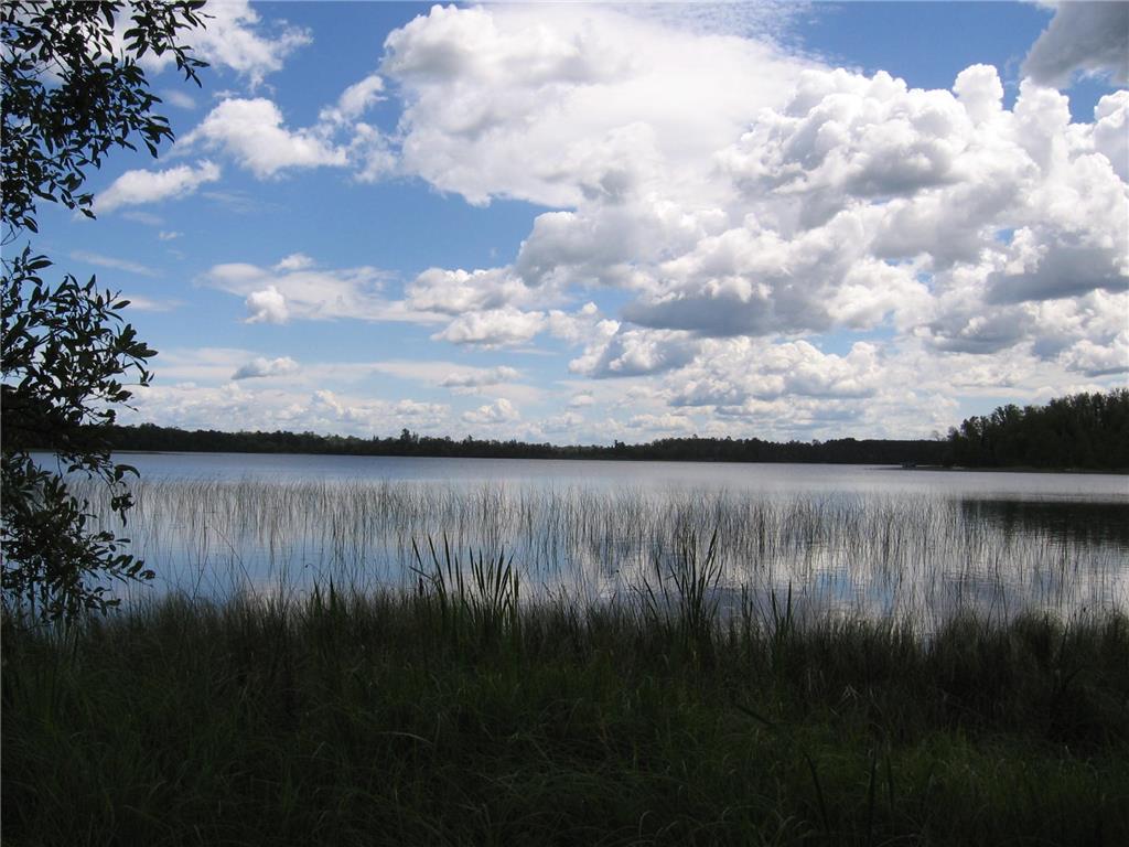 xxx NW Evergreen Drive Woodrow Twp MN 56452 - Baby 6393991 image1