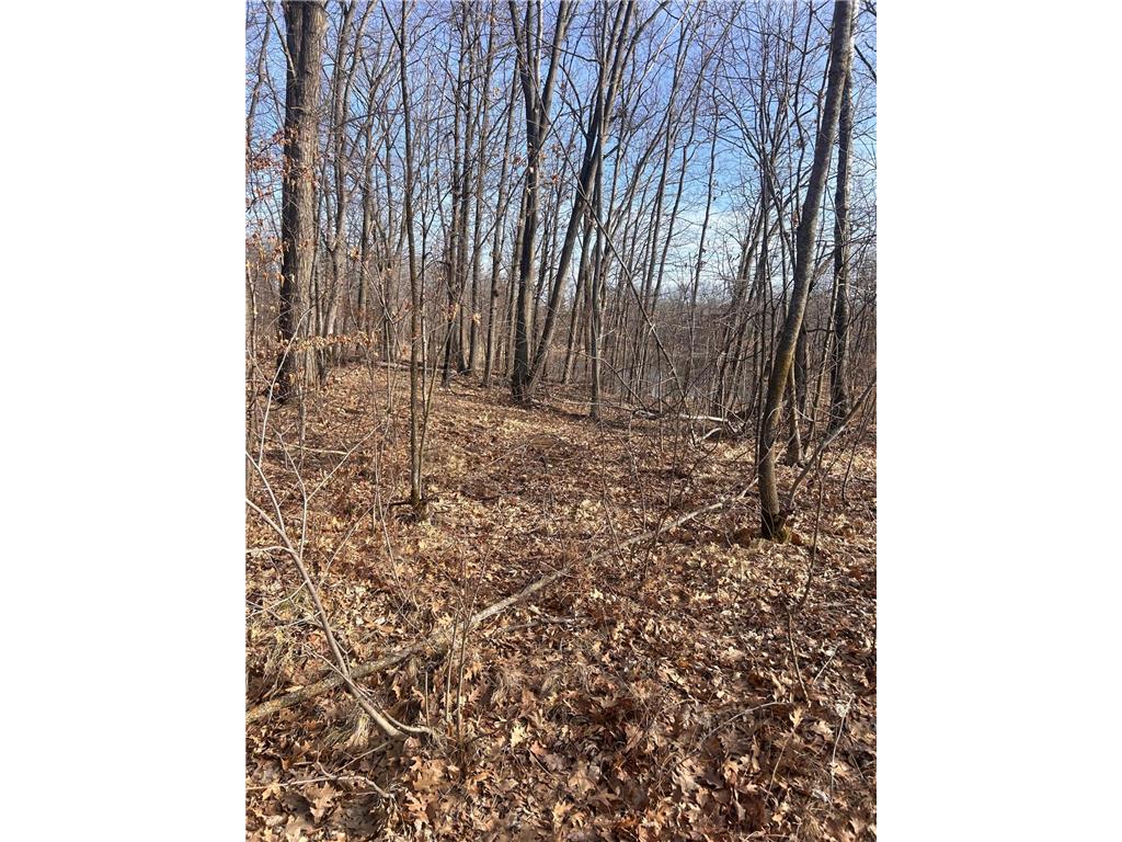 xxx Norway Trl Cushing MN 56443 6503041 image1