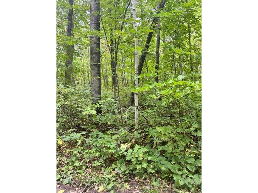 xxx Opal Lane Cushing MN 56443 6502395 image1