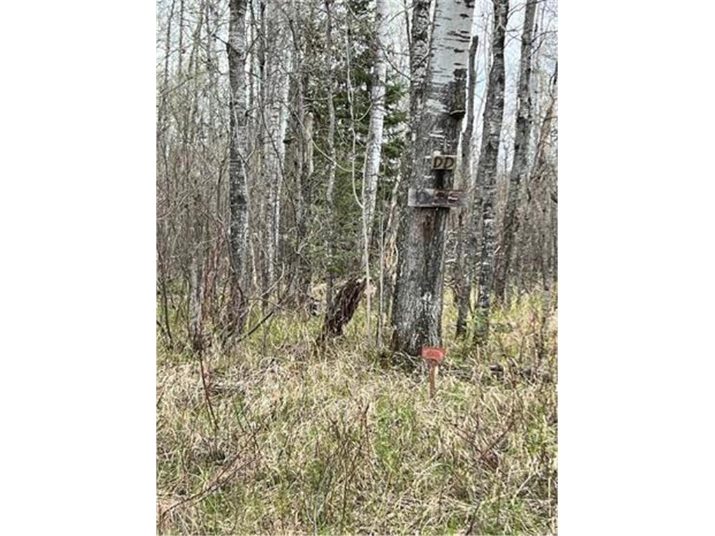 xxx Orienta Falls Rd Orienta Twp WI 54865 6314811 image1