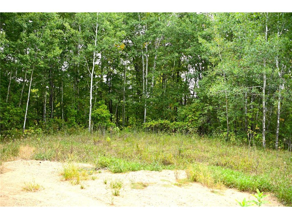 XXX Oriole Court Moran Twp MN 56438 - Fawn 7019654 image10