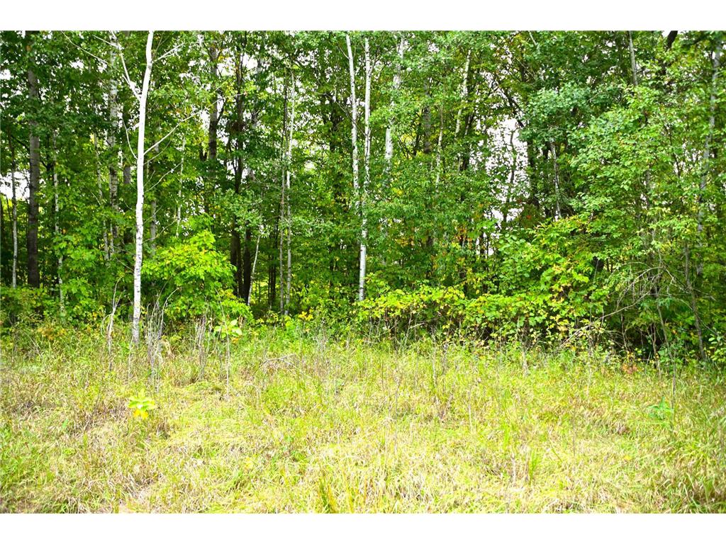 XXX Oriole Court Moran Twp MN 56438 - Fawn 7019654 image11