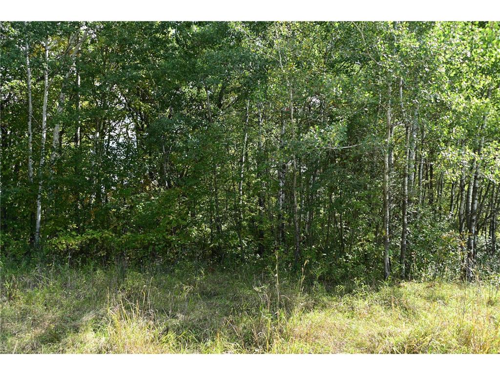XXX Oriole Court Moran Twp MN 56438 - Fawn 7019654 image14