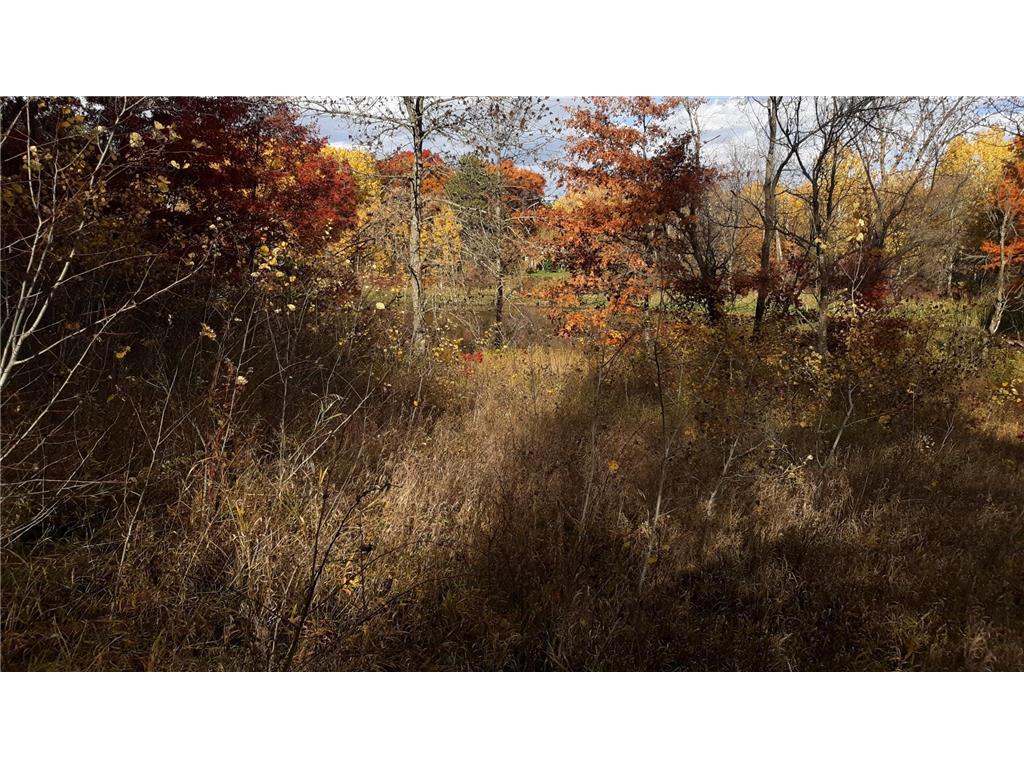 XXX Oriole Court Moran Twp MN 56438 - Fawn 7019654 image7