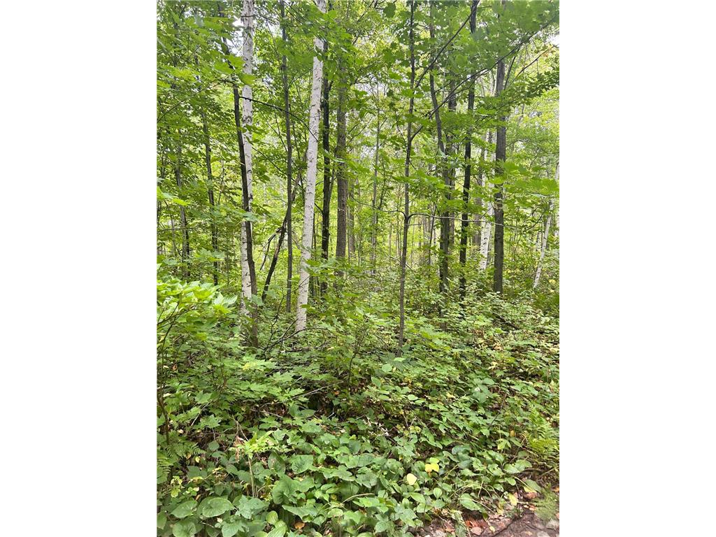 xxx Pebble Pass Cushing MN 56443 6432631 image1