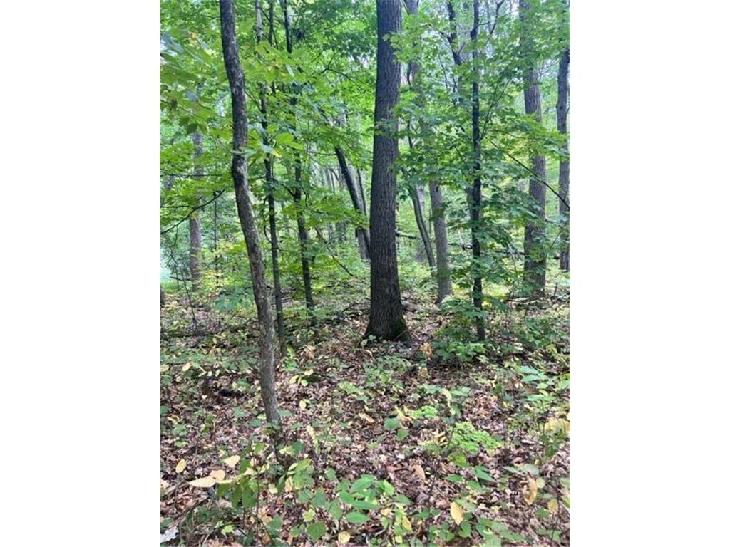 xxx Pebble Pass Cushing Twp MN 56443 6484047 image1