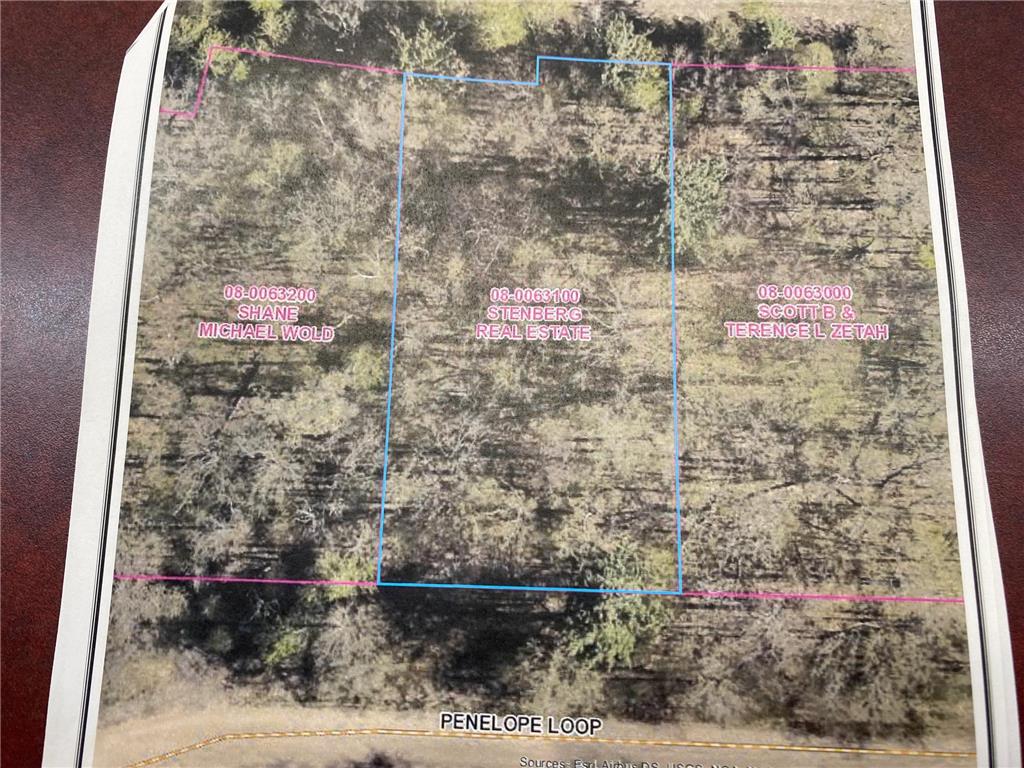 xxx Penelope Loop Fawn Lake Twp MN 56438 6421850 image1