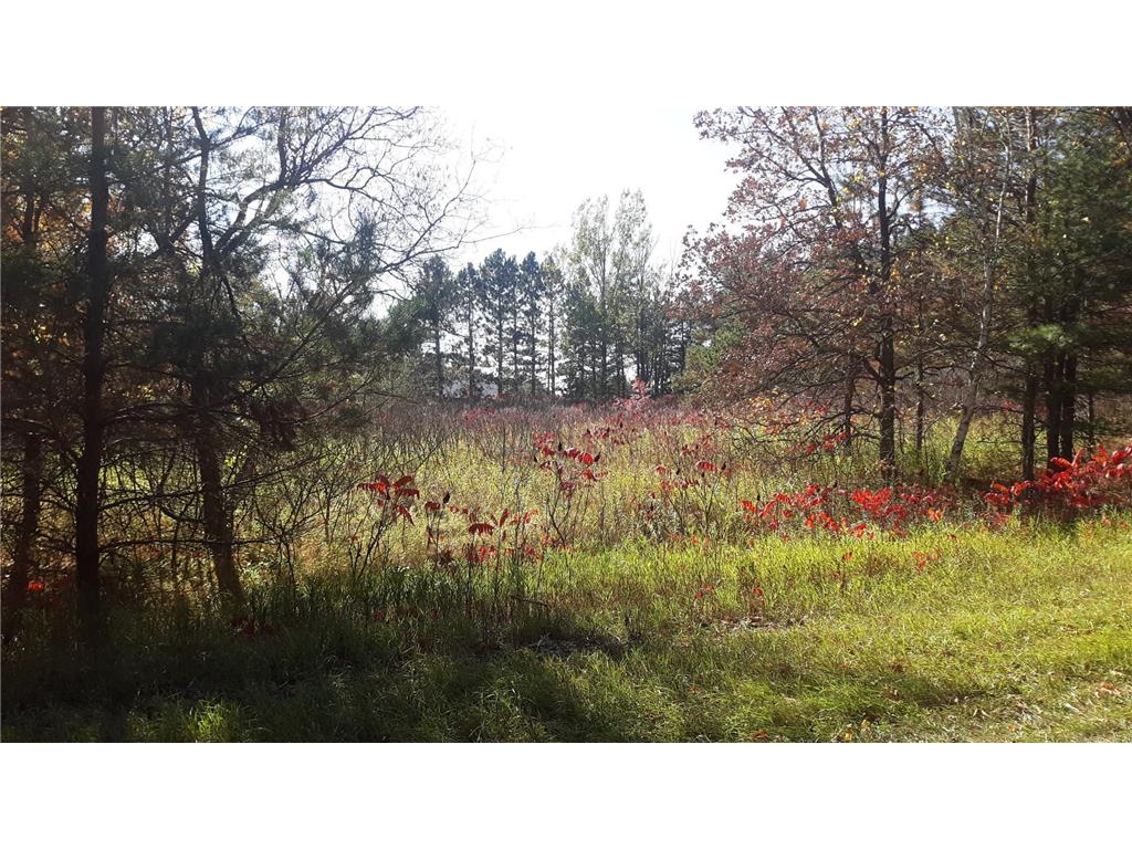 xxx Pequot Court Fawn Lake Twp MN 56438 - Pine Island 6321658 image1