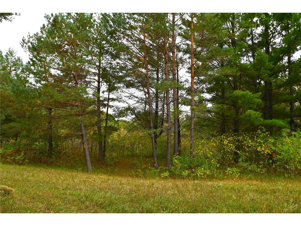 xxx Pequot Court Fawn Lake Twp MN 56438 6458612 image1