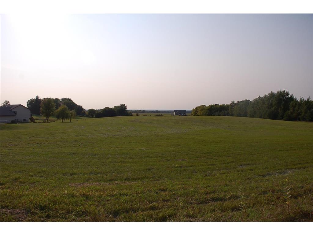 xxx Pine Avenue Amador Twp MN 55012 6258262 image1