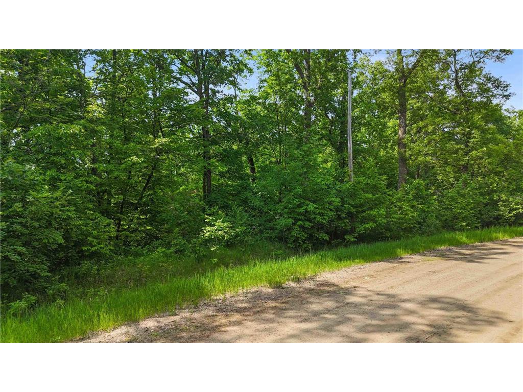 xxx Pinewood Ct Browerville MN 56438 - Fawn 6731847 image6