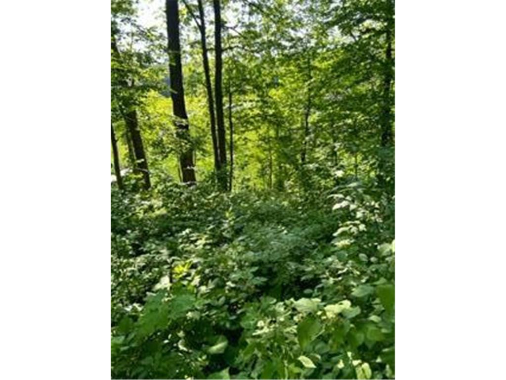 xxx Pinewood Ct Browerville MN 56438 - Fawn 6731847 image8