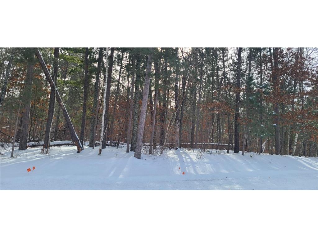 xxx Poplar Avenue Nisswa MN 56468 6672101 image1