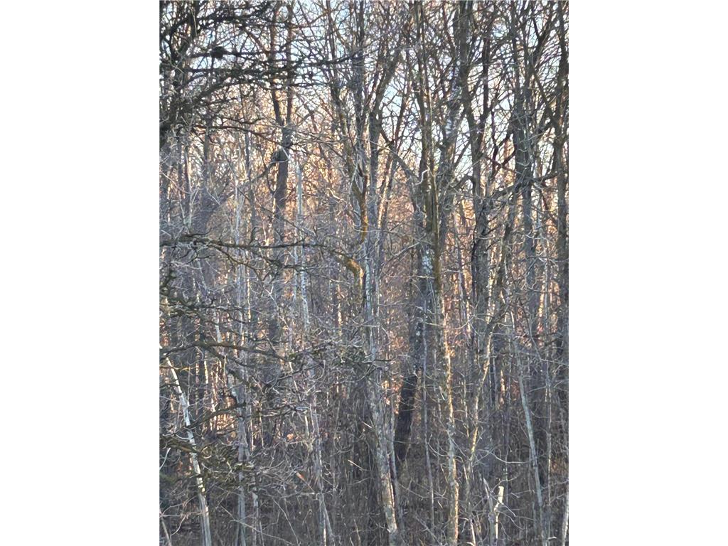 xxx Powder Horn Drive Cushing Twp MN 56443 6483528 image1