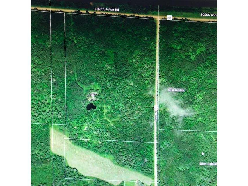 000 Roini Road Angora MN 55703 5742707 image1