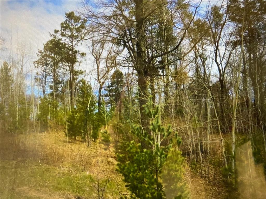 xxx Rolling Oaks Street Motley MN 56466 6192556 image1