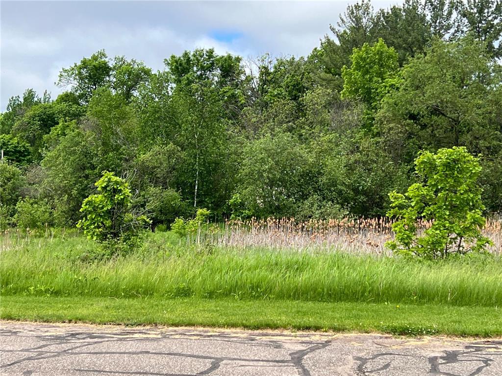 xxx Roosevelt Street Cuyuna MN 56444 6544746 image7