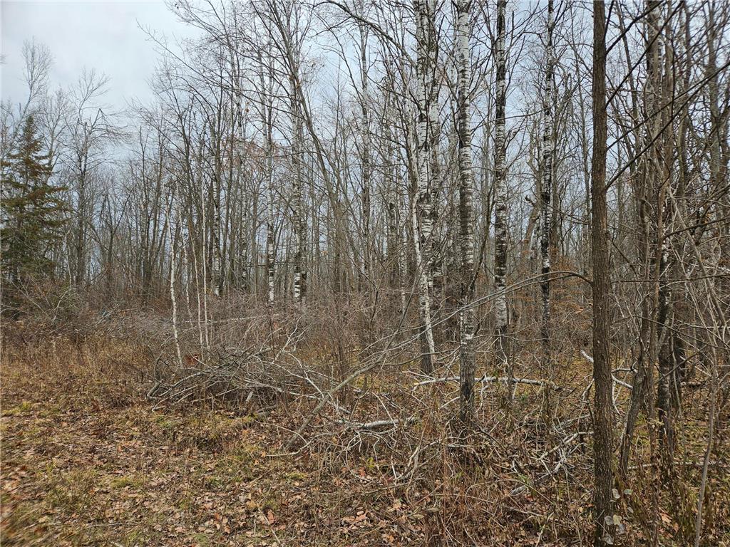 xxx Rutabaga Road Sandstone MN 55072 6454606 image1