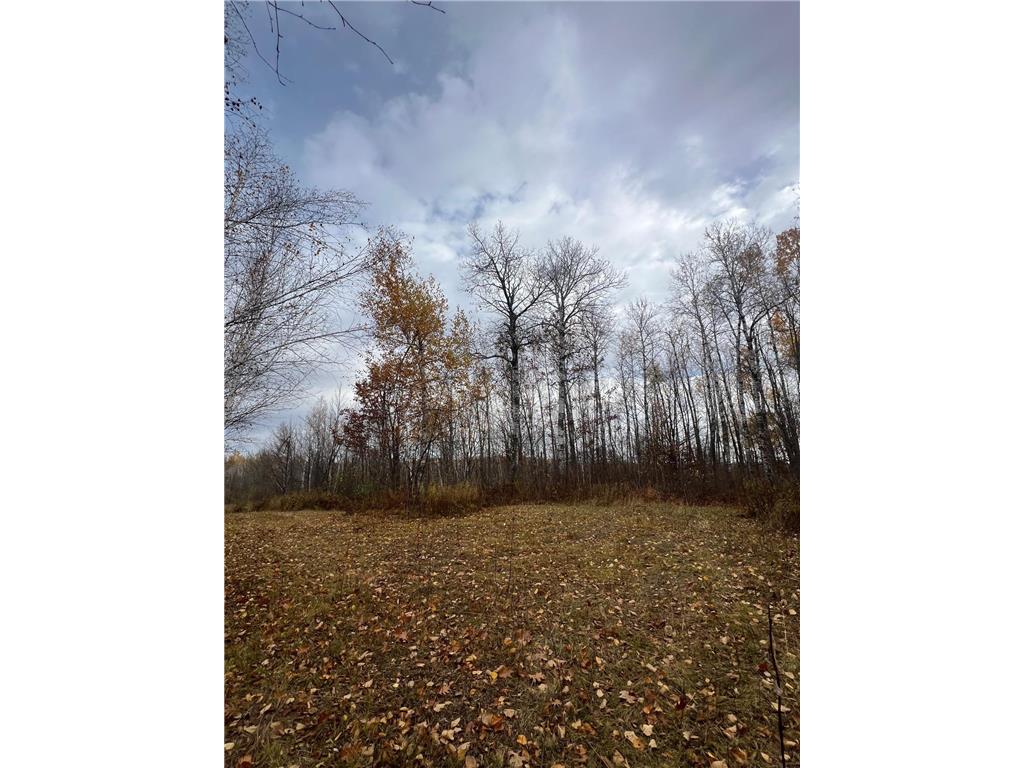 xxx Rutabaga Road Sandstone MN 55072 - Crooked Creek - East Fork 6807103 image10