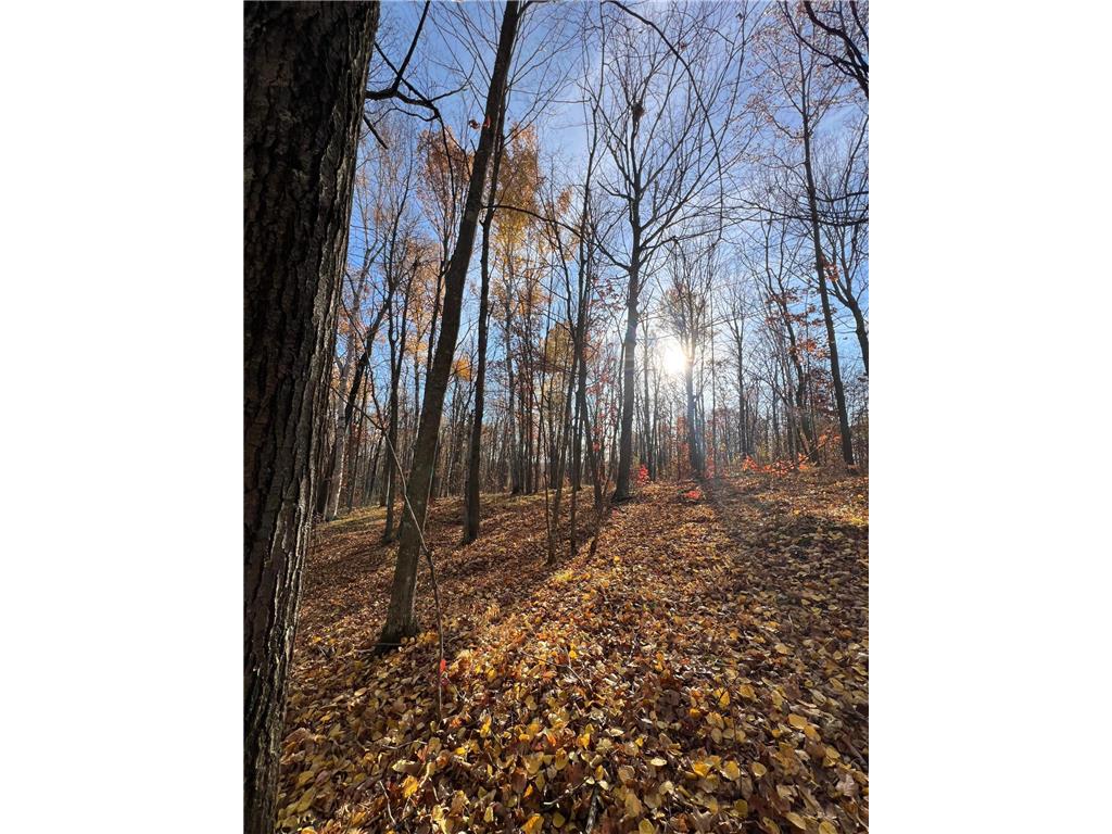 xxx Rutabaga Road Sandstone MN 55072 - Crooked Creek - East Fork 6807103 image12