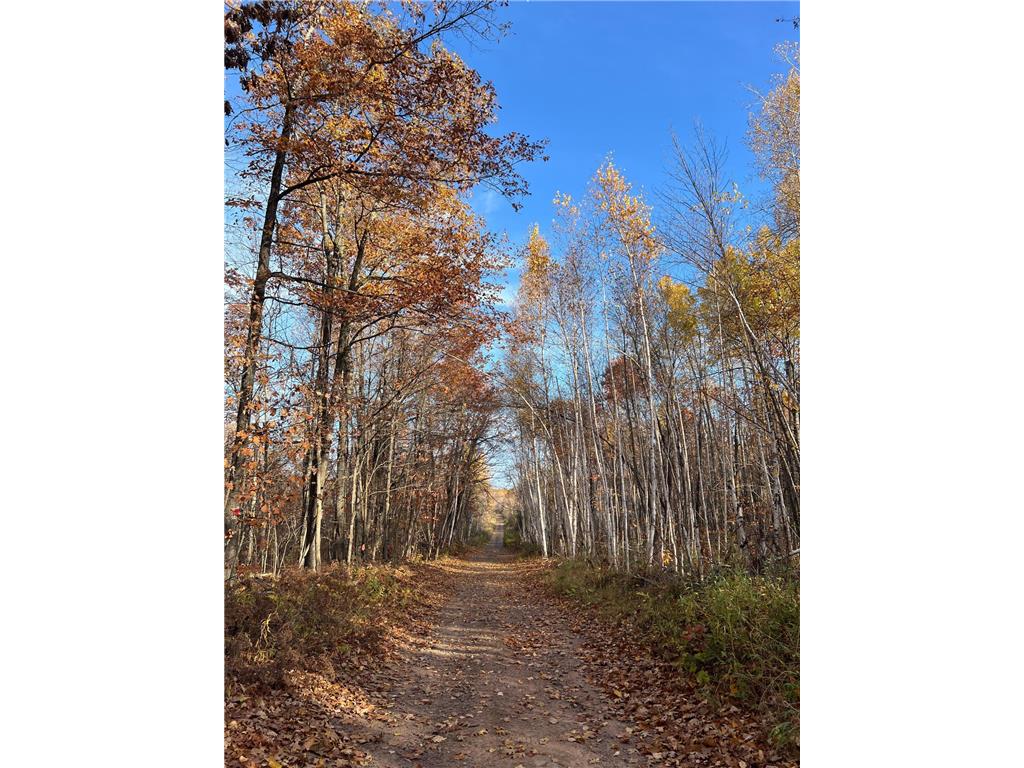 xxx Rutabaga Road Sandstone MN 55072 - Crooked Creek - East Fork 6807103 image13