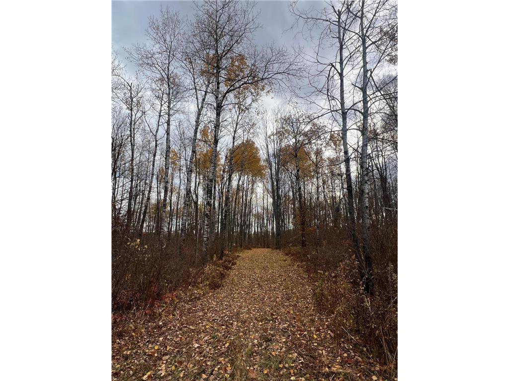 xxx Rutabaga Road Sandstone MN 55072 - Crooked Creek - East Fork 6807103 image14