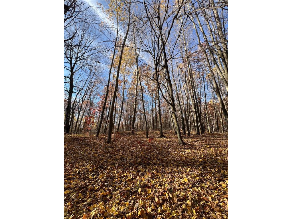 xxx Rutabaga Road Sandstone MN 55072 - Crooked Creek - East Fork 6807103 image16