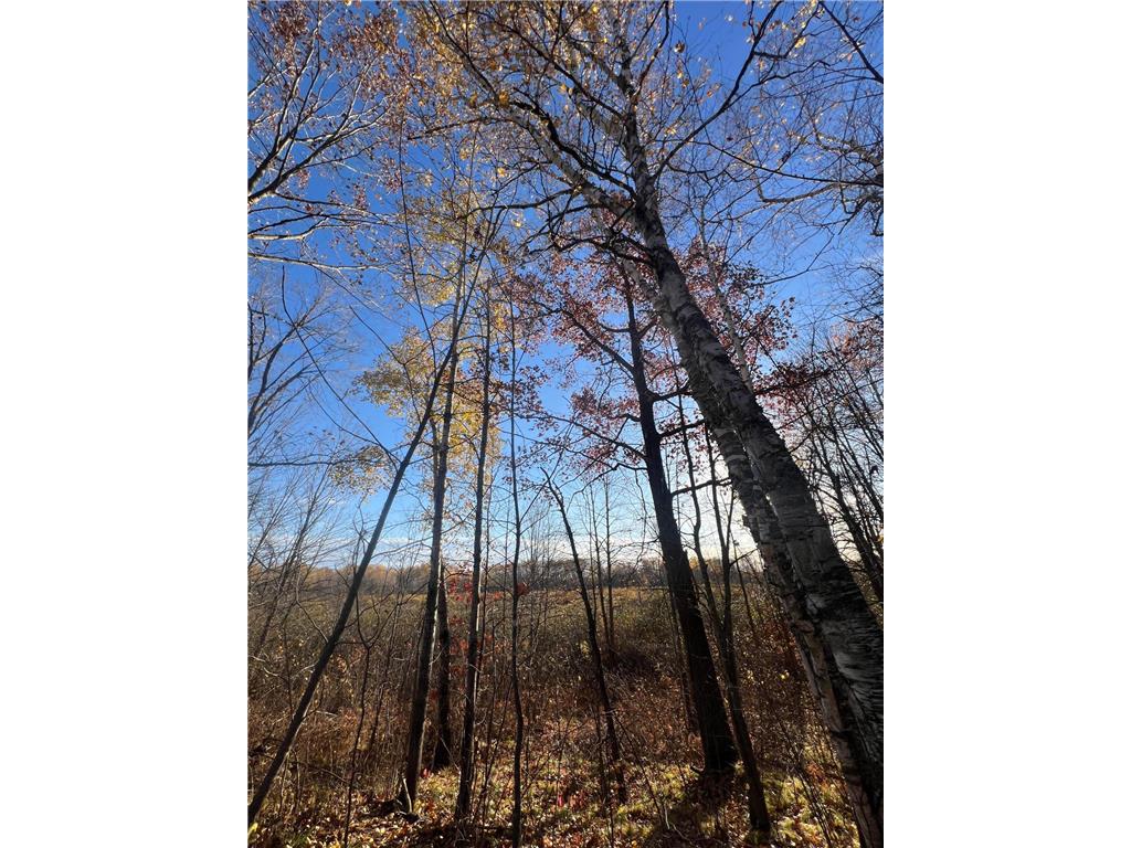 xxx Rutabaga Road Sandstone MN 55072 - Crooked Creek - East Fork 6807103 image17