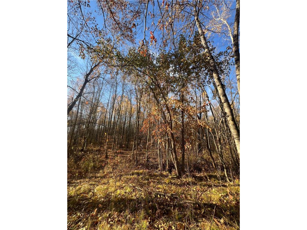 xxx Rutabaga Road Sandstone MN 55072 - Crooked Creek - East Fork 6807103 image18