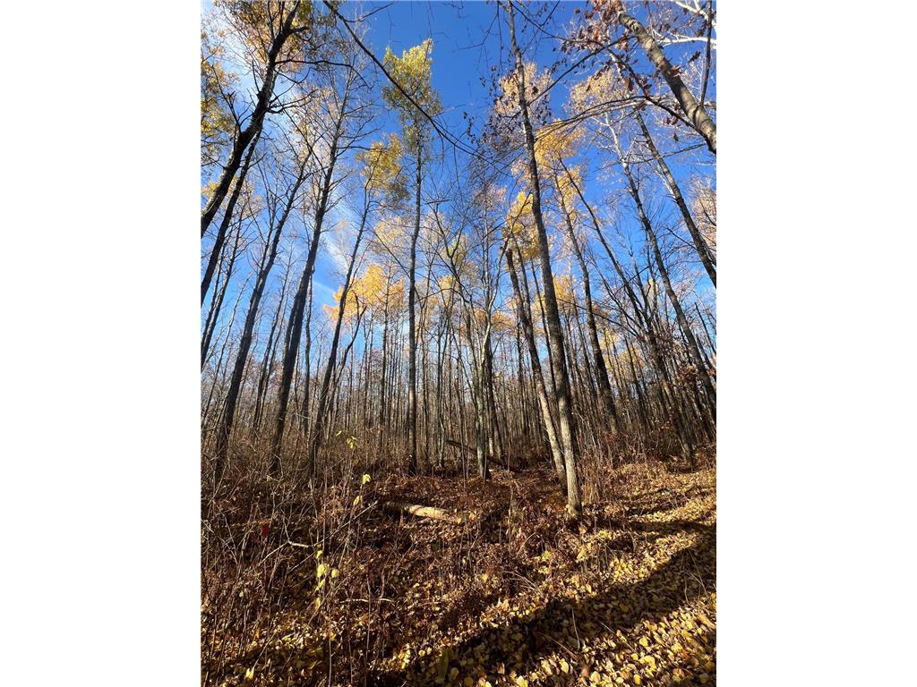 xxx Rutabaga Road Sandstone MN 55072 - Crooked Creek - East Fork 6807103 image19
