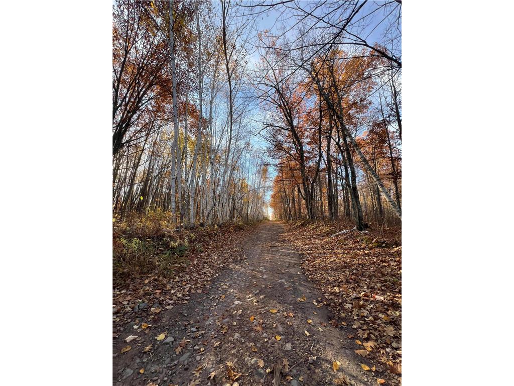 xxx Rutabaga Road Sandstone MN 55072 - Crooked Creek - East Fork 6807103 image2
