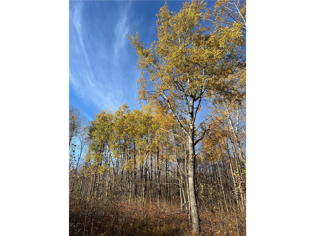 xxx Rutabaga Road Sandstone MN 55072 - Crooked Creek - East Fork 6807103 image20