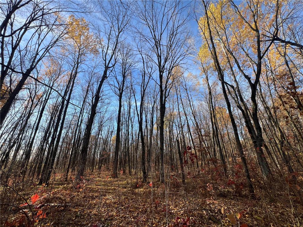 xxx Rutabaga Road Sandstone MN 55072 - Crooked Creek - East Fork 6807103 image21