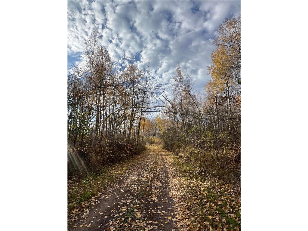 xxx Rutabaga Road Sandstone MN 55072 - Crooked Creek - East Fork 6807103 image24