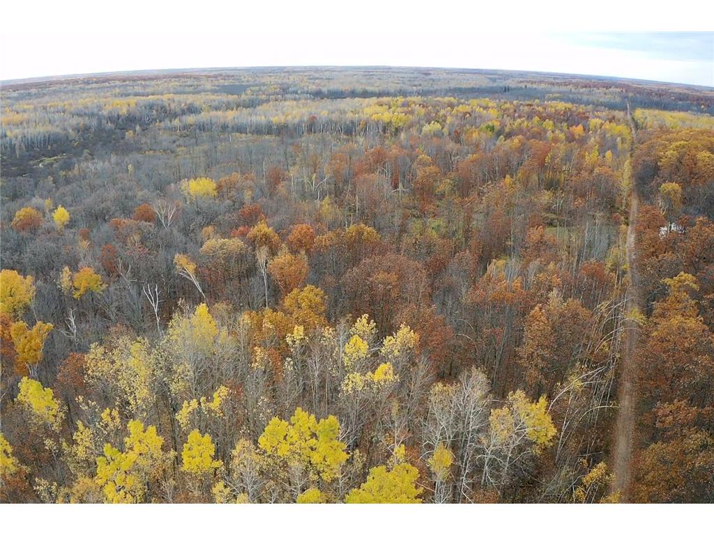 xxx Rutabaga Road Sandstone MN 55072 - Crooked Creek - East Fork 6807103 image27