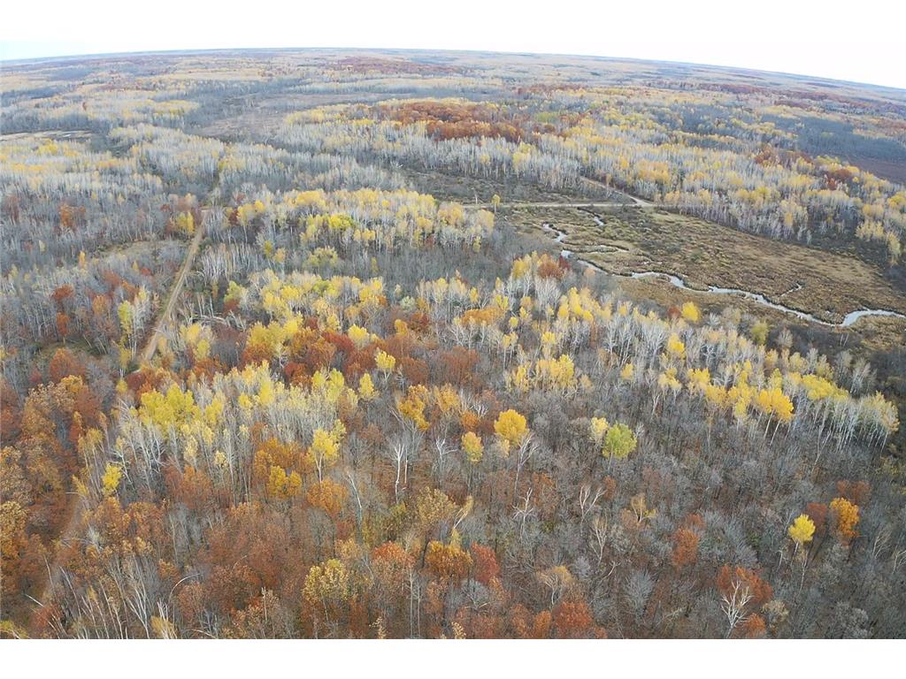 xxx Rutabaga Road Sandstone MN 55072 - Crooked Creek - East Fork 6807103 image28