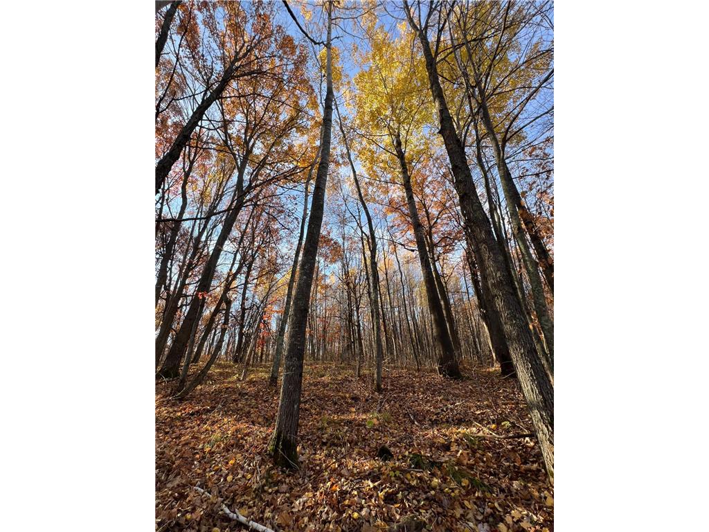 xxx Rutabaga Road Sandstone MN 55072 - Crooked Creek - East Fork 6807103 image4