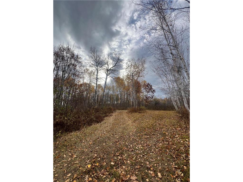 xxx Rutabaga Road Sandstone MN 55072 - Crooked Creek - East Fork 6807103 image5