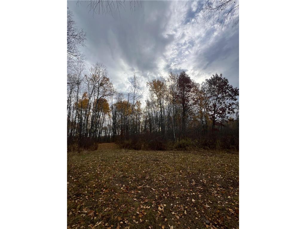 xxx Rutabaga Road Sandstone MN 55072 - Crooked Creek - East Fork 6807103 image8