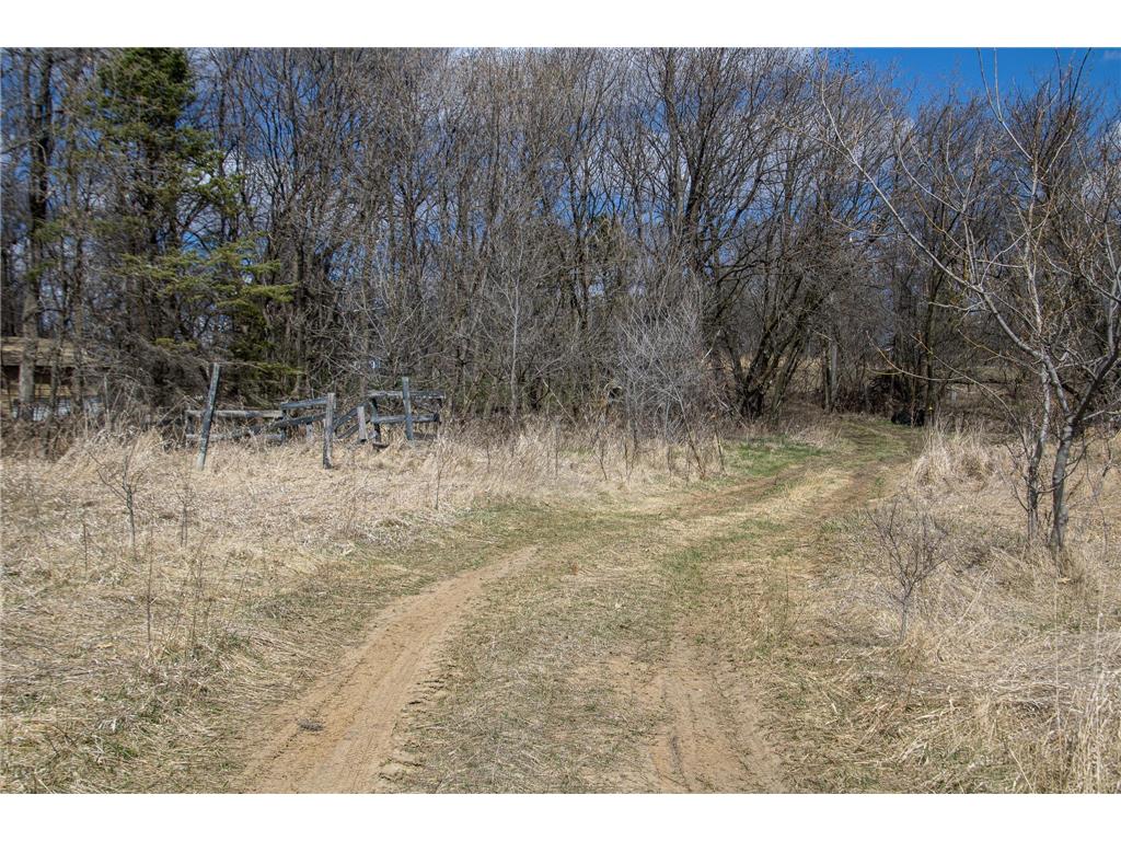 xxx Scandia Trail N Forest Lake MN 55025 7003414 image10