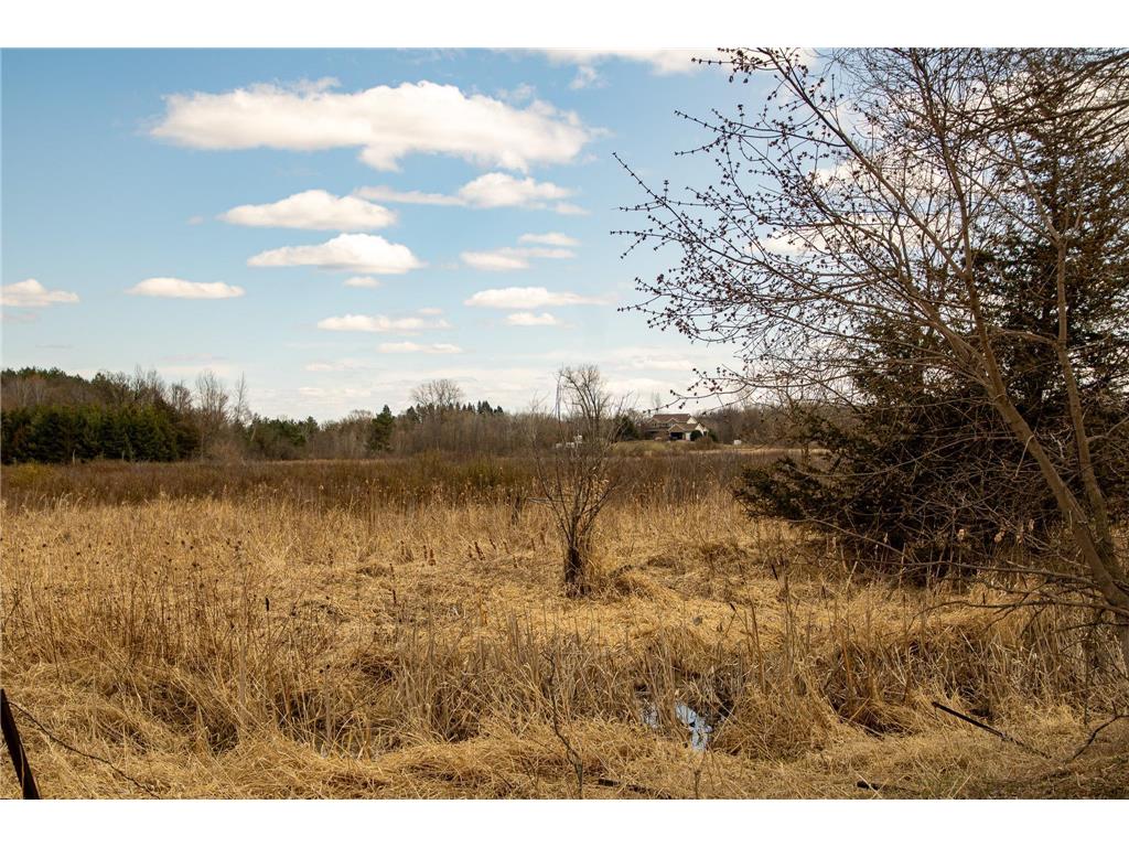 xxx Scandia Trail N Forest Lake MN 55025 7003414 image29