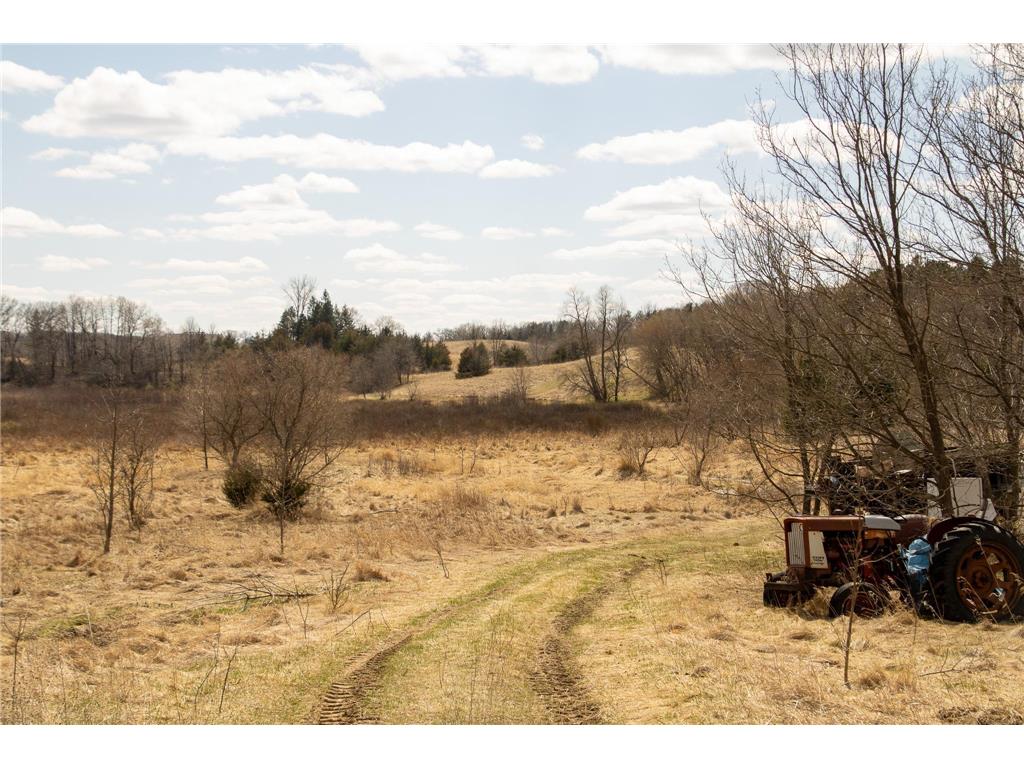 xxx Scandia Trail N Forest Lake MN 55025 7003414 image6