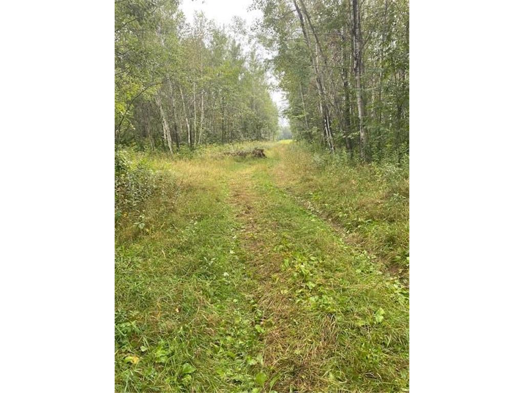 xxx Soderman Road Brainerd MN 56401 6254900 image1