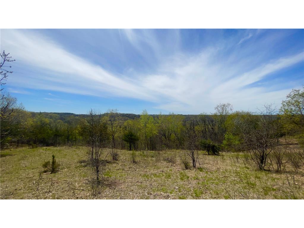 xxx Spring Creek Road S Red Wing MN 55066 6529334 image1